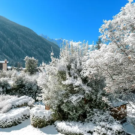 Apartmán Le Cristal - Mont Blanc 6 - Happy *